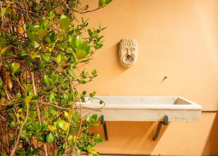 Trevi's Wish Luxury *